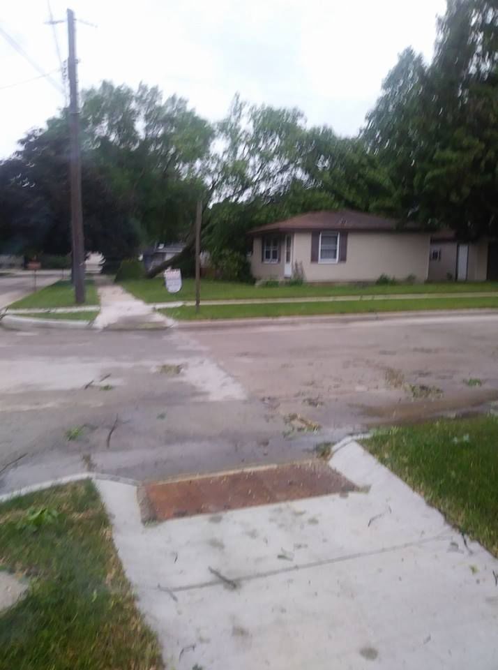 Tree on house